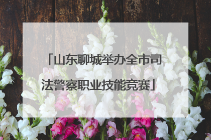 山东聊城举办全市司法警察职业技能竞赛