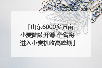 山东6000多万亩小麦陆续开镰 全省将进入小麦机收高峰期