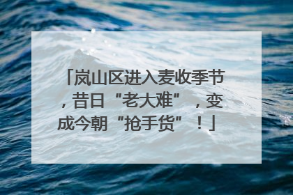 岚山区进入麦收季节，昔日“老大难”，变成今朝“抢手货”！