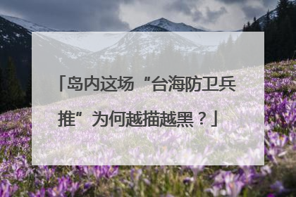 岛内这场“台海防卫兵推”为何越描越黑？