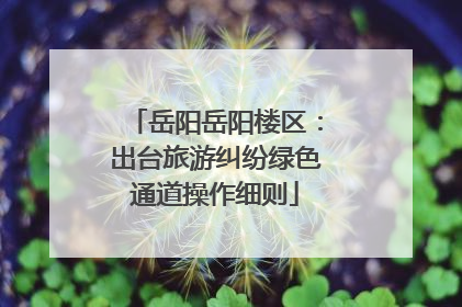 岳阳岳阳楼区：出台旅游纠纷绿色通道操作细则