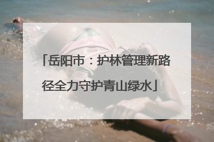 岳阳市：护林管理新路径全力守护青山绿水