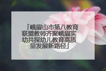 峨眉山市第八教育联盟教师齐聚峨眉实幼共探幼儿教育高质量发展新路径