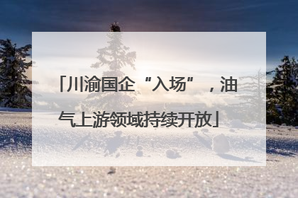 川渝国企“入场”，油气上游领域持续开放