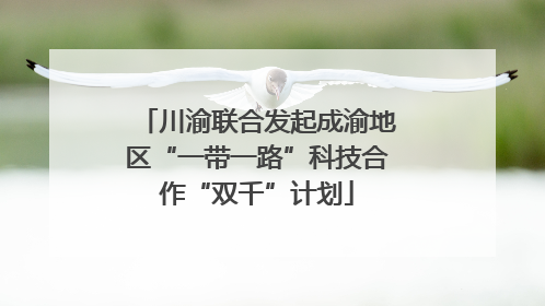 川渝联合发起成渝地区“一带一路”科技合作“双千”计划