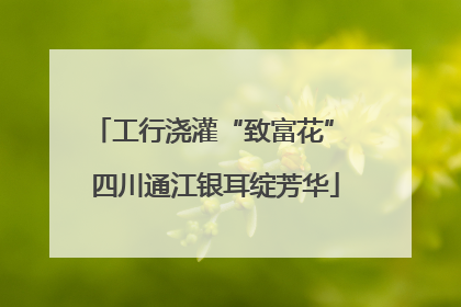 工行浇灌“致富花” 四川通江银耳绽芳华