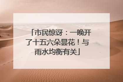 市民惊讶：一晚开了十五六朵昙花！与雨水均衡有关