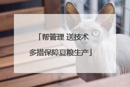 帮管理 送技术 多措保障夏粮生产