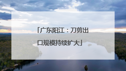 广东阳江：刀剪出口规模持续扩大