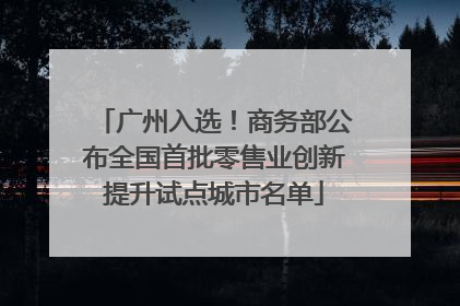 广州入选！商务部公布全国首批零售业创新提升试点城市名单