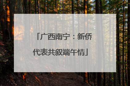 广西南宁：新侨代表共叙端午情