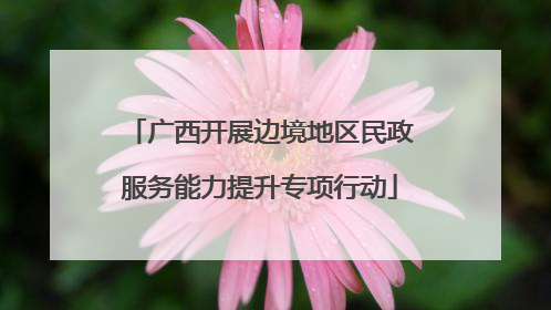广西开展边境地区民政服务能力提升专项行动