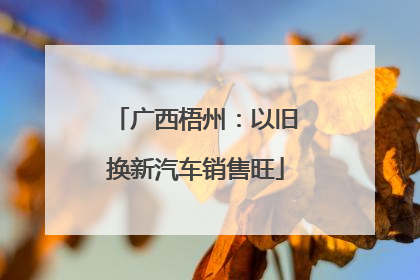 广西梧州：以旧换新汽车销售旺