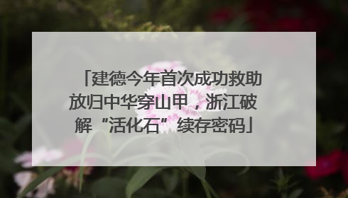 建德今年首次成功救助放归中华穿山甲，浙江破解“活化石”续存密码