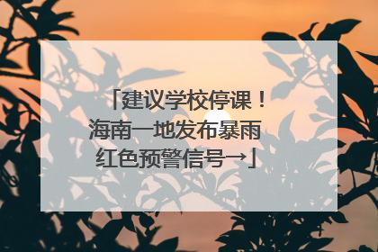 建议学校停课！海南一地发布暴雨红色预警信号→