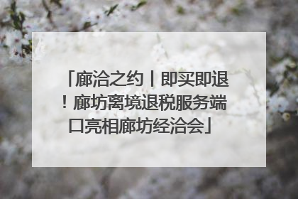 廊洽之约丨即买即退！廊坊离境退税服务端口亮相廊坊经洽会