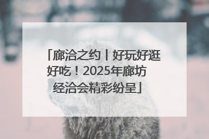 廊洽之约丨好玩好逛好吃！2025年廊坊经洽会精彩纷呈