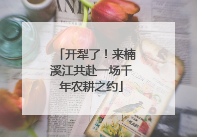 开犁了！来楠溪江共赴一场千年农耕之约