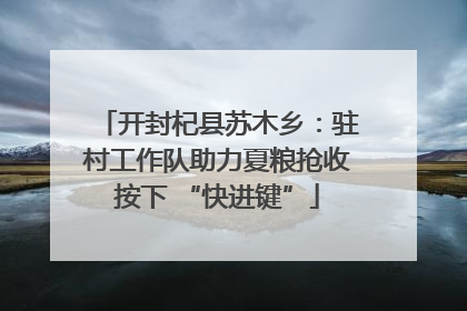 开封杞县苏木乡：驻村工作队助力夏粮抢收按下 “快进键”