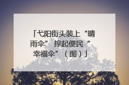 弋阳街头装上“晴雨伞” 撑起便民“幸福伞”（图）