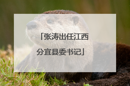 张涛出任江西分宜县委书记