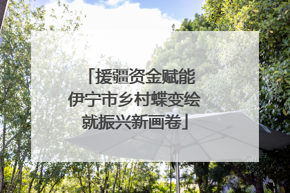 援疆资金赋能 伊宁市乡村蝶变绘就振兴新画卷