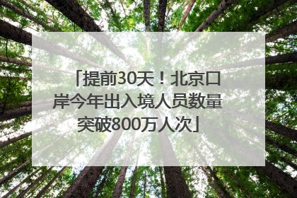 提前30天！北京口岸今年出入境人员数量突破800万人次