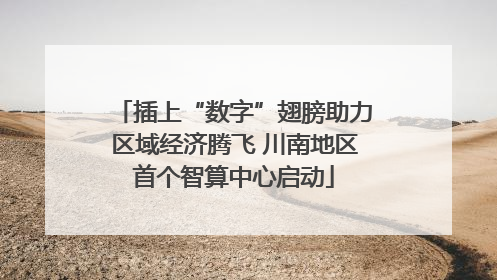 插上“数字”翅膀助力区域经济腾飞 川南地区首个智算中心启动