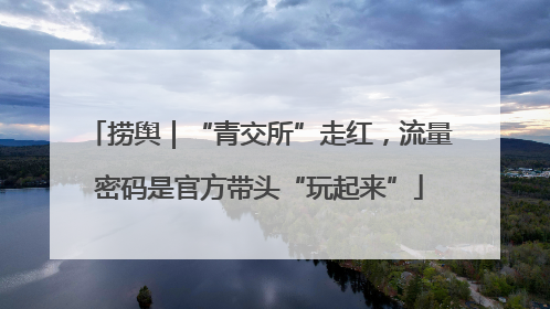 捞舆｜“青交所”走红，流量密码是官方带头“玩起来”