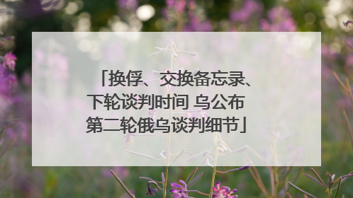 换俘、交换备忘录、下轮谈判时间 乌公布第二轮俄乌谈判细节