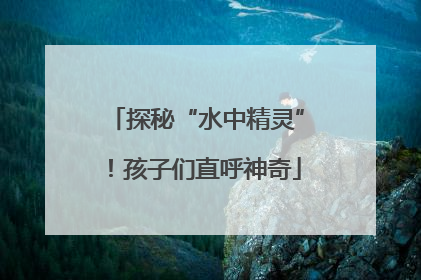 探秘“水中精灵”！孩子们直呼神奇