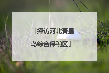 探访河北秦皇岛综合保税区