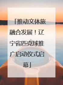 推动文体旅融合发展！辽宁省匹克球推广启动仪式启幕