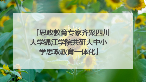 思政教育专家齐聚四川大学锦江学院共研大中小学思政教育一体化