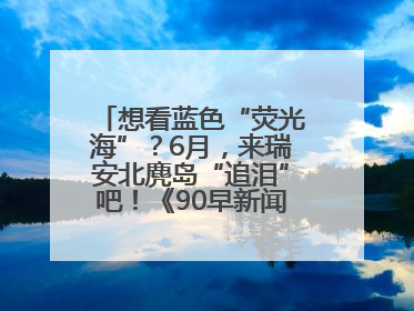 想看蓝色“荧光海”？6月，来瑞安北麂岛“追泪”吧！《90早新闻》来了