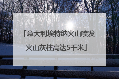意大利埃特纳火山喷发 火山灰柱高达5千米