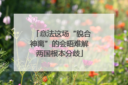 意法这场“貌合神离”的会晤难解两国根本分歧