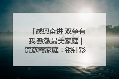 感恩奋进 双争有我·致敬最美家庭｜贺彦霞家庭：银针彩线绣出好日子