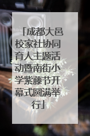 成都大邑校家社协同育人主题活动暨南街小学紫藤节开幕式圆满举行
