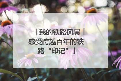 我的铁路风景︱感受跨越百年的铁路“印记”