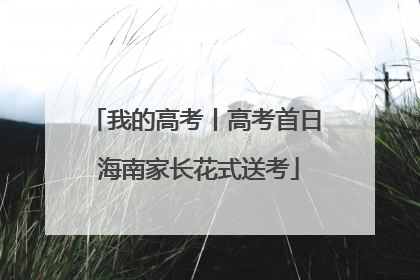 我的高考丨高考首日 海南家长花式送考
