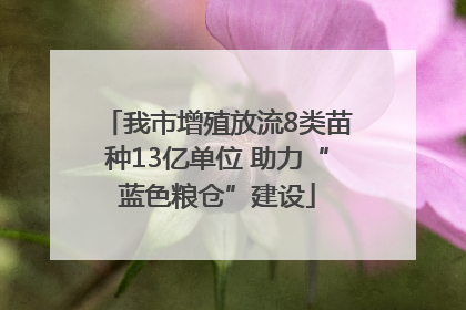 我市增殖放流8类苗种13亿单位 助力“蓝色粮仓”建设