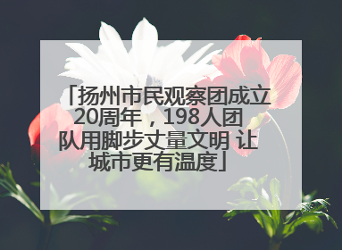 扬州市民观察团成立20周年，198人团队用脚步丈量文明 让城市更有温度