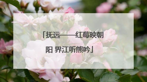 抚远——红莓映朝阳 界江听熊吟
