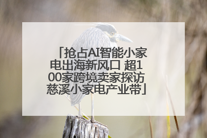抢占AI智能小家电出海新风口 超100家跨境卖家探访慈溪小家电产业带