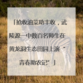抢收油菜助丰收，武陵源一中数百名师生在黄龙洞生态田园上演“青春助农记”