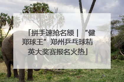 拼手速抢名额｜“健郑球王”郑州乒乓球精英大奖赛报名火热