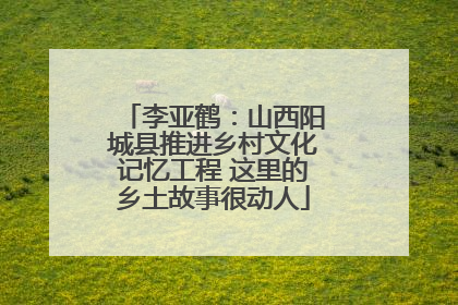 李亚鹤：山西阳城县推进乡村文化记忆工程 这里的乡土故事很动人