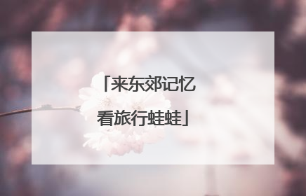 来东郊记忆 看旅行蛙蛙