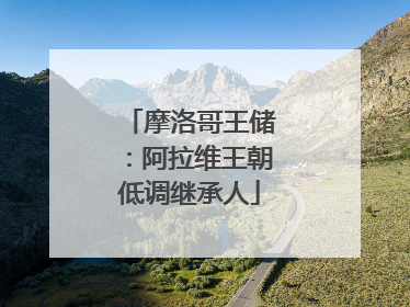 摩洛哥王储：阿拉维王朝低调继承人